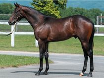 ����å��ǳ��������ɽ�����ޤ�