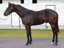 ����å��ǳ��������ɽ�����ޤ�