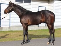 ����å��ǳ��������ɽ�����ޤ�