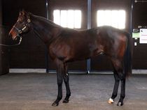 ����å��ǳ��������ɽ�����ޤ�