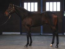 ����å��ǳ��������ɽ�����ޤ�