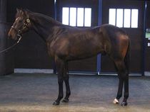 ����å��ǳ��������ɽ�����ޤ�