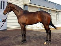 ����å��ǳ��������ɽ�����ޤ�