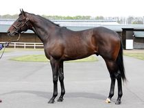 ����å��ǳ��������ɽ�����ޤ�