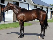 ����å��ǳ��������ɽ�����ޤ�