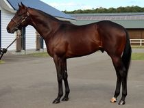 ����å��ǳ��������ɽ�����ޤ�