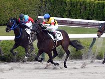 ����å��ǳ��������ɽ�����ޤ�