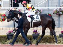 ����å��ǳ��������ɽ�����ޤ�