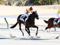 ����å��ǳ��������ɽ�����ޤ�