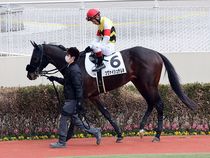 ����å��ǳ��������ɽ�����ޤ�