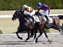 ����å��ǳ��������ɽ�����ޤ�