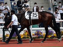 ����å��ǳ��������ɽ�����ޤ�