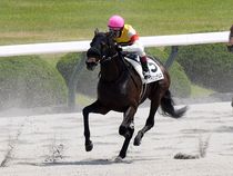 ����å��ǳ��������ɽ�����ޤ�