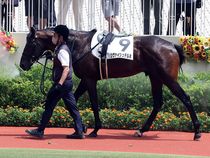 ����å��ǳ��������ɽ�����ޤ�