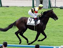 ����å��ǳ��������ɽ�����ޤ�