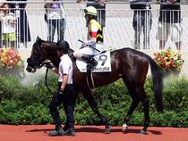 ����å��ǳ��������ɽ�����ޤ�