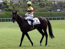 ����å��ǳ��������ɽ�����ޤ�