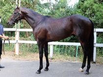 ����å��ǳ��������ɽ�����ޤ�