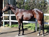 ����å��ǳ��������ɽ�����ޤ�