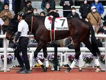 ����å��ǳ��������ɽ�����ޤ�