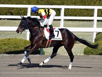 ����å��ǳ��������ɽ�����ޤ�