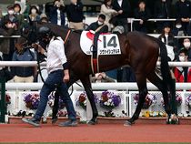 ����å��ǳ��������ɽ�����ޤ�