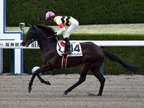 ����å��ǳ��������ɽ�����ޤ�