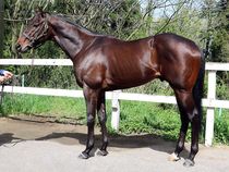 ����å��ǳ��������ɽ�����ޤ�