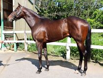 ����å��ǳ��������ɽ�����ޤ�