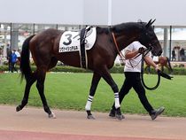 ����å��ǳ��������ɽ�����ޤ�