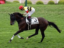 ����å��ǳ��������ɽ�����ޤ�