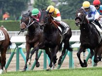 ����å��ǳ��������ɽ�����ޤ�