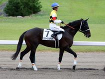 ����å��ǳ��������ɽ�����ޤ�