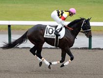 ����å��ǳ��������ɽ�����ޤ�