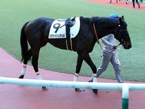 ����å��ǳ��������ɽ�����ޤ�