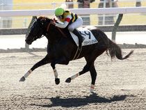 ����å��ǳ��������ɽ�����ޤ�