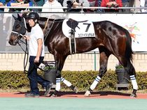 ����å��ǳ��������ɽ�����ޤ�