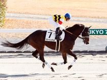 ����å��ǳ��������ɽ�����ޤ�