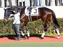 ����å��ǳ��������ɽ�����ޤ�