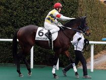 ����å��ǳ��������ɽ�����ޤ�