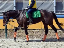 ����å��ǳ��������ɽ�����ޤ�