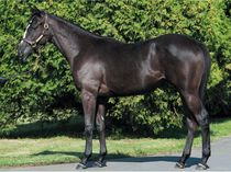 ����å��ǳ��������ɽ�����ޤ�