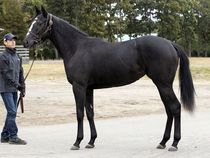 ����å��ǳ��������ɽ�����ޤ�