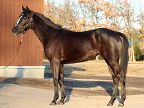 ����å��ǳ��������ɽ�����ޤ�