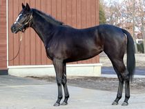 ����å��ǳ��������ɽ�����ޤ�