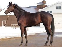 ����å��ǳ��������ɽ�����ޤ�