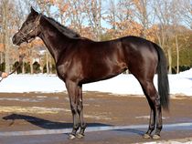 ����å��ǳ��������ɽ�����ޤ�