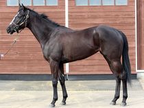 ����å��ǳ��������ɽ�����ޤ�