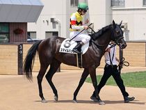 ����å��ǳ��������ɽ�����ޤ�