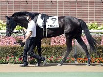 ����å��ǳ��������ɽ�����ޤ�